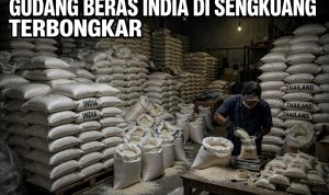 IMG-20261014-WA0111(1)